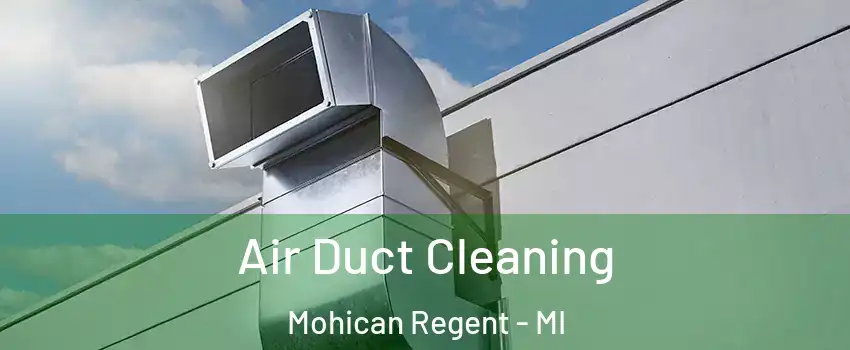 Air Duct Cleaning Mohican Regent - MI