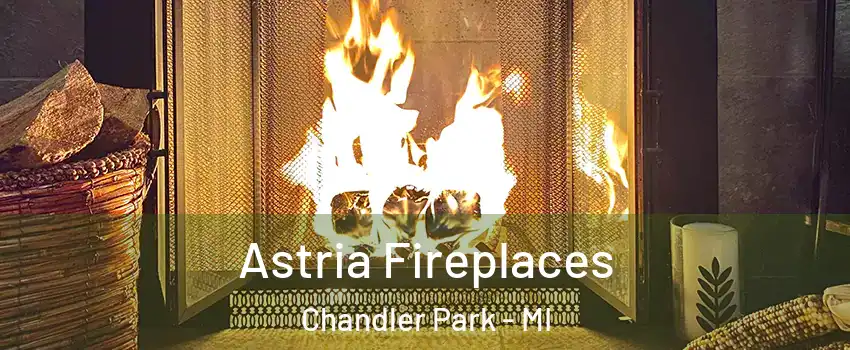 Astria Fireplaces Chandler Park - MI