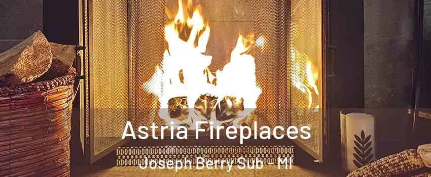 Astria Fireplaces Joseph Berry Sub - MI