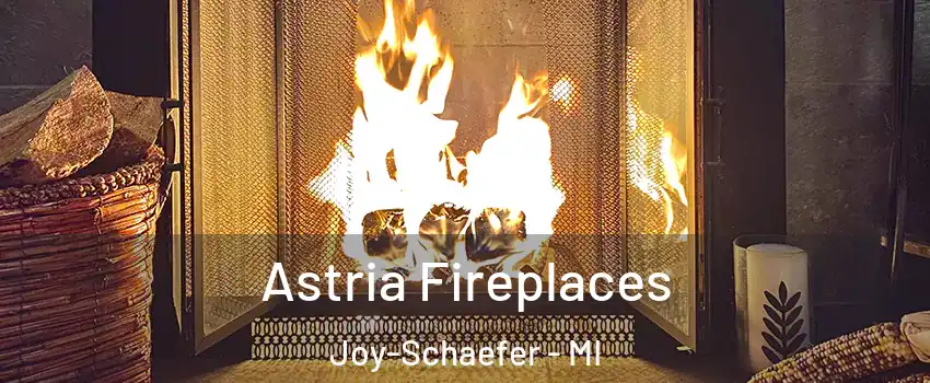 Astria Fireplaces Joy-Schaefer - MI