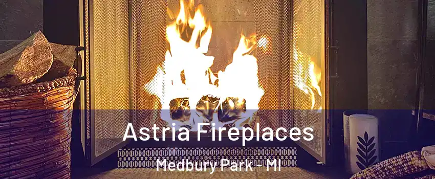 Astria Fireplaces Medbury Park - MI