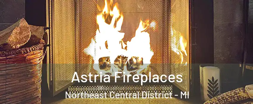 Astria Fireplaces Northeast Central District - MI