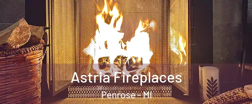 Astria Fireplaces Penrose - MI