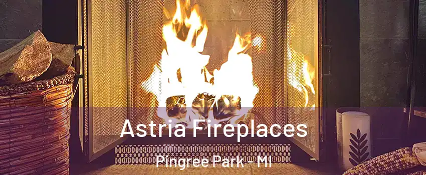 Astria Fireplaces Pingree Park - MI