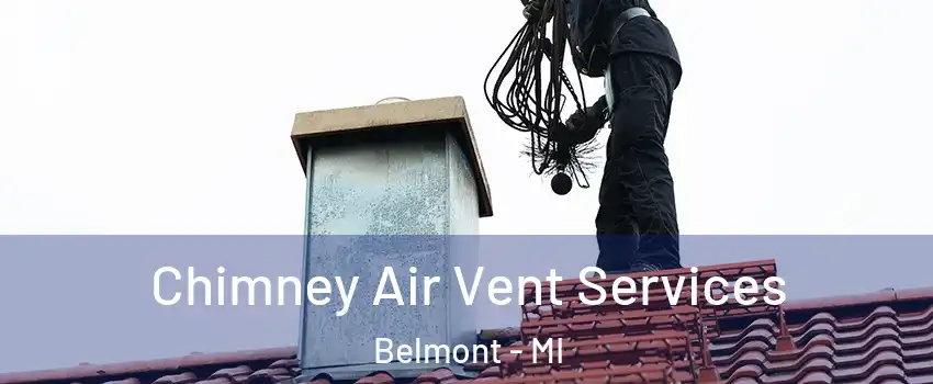 Chimney Air Vent Services Belmont - MI