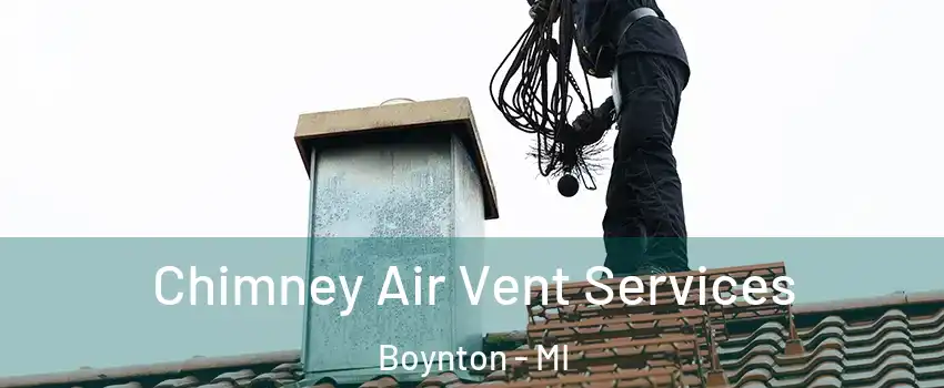 Chimney Air Vent Services Boynton - MI