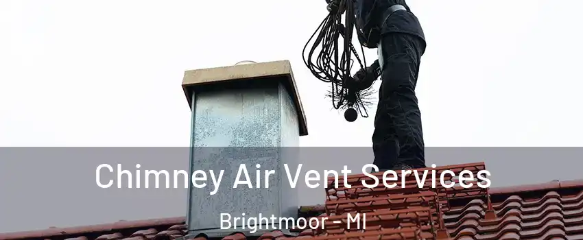 Chimney Air Vent Services Brightmoor - MI