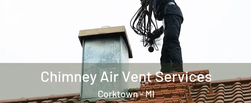 Chimney Air Vent Services Corktown - MI