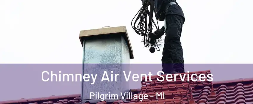 Chimney Air Vent Services Pilgrim Village - MI