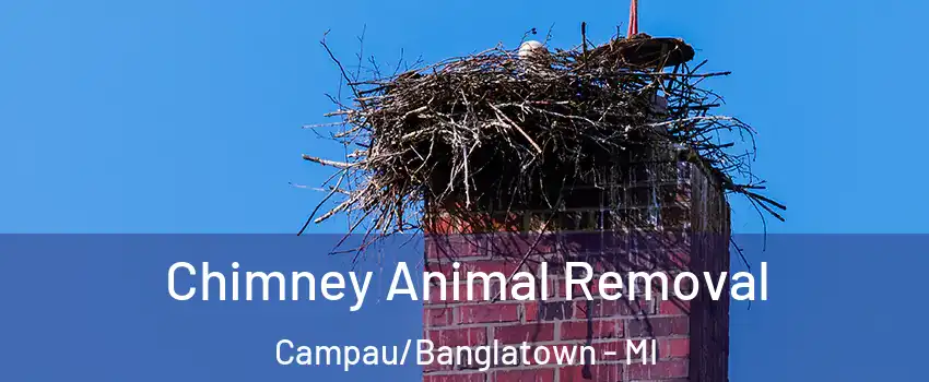 Chimney Animal Removal Campau/Banglatown - MI