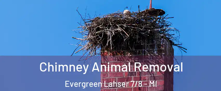 Chimney Animal Removal Evergreen Lahser 7/8 - MI