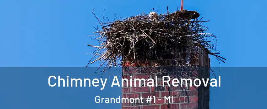 Chimney Animal Removal Grandmont #1 - MI