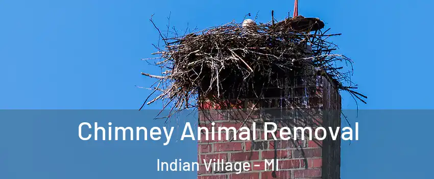 Chimney Animal Removal Indian Village - MI