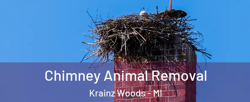 Chimney Animal Removal Krainz Woods - MI