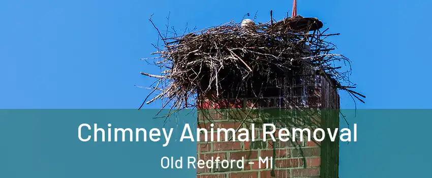 Chimney Animal Removal Old Redford - MI