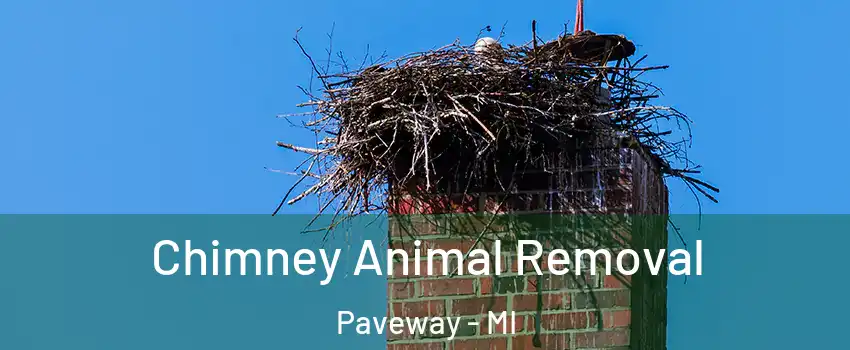 Chimney Animal Removal Paveway - MI