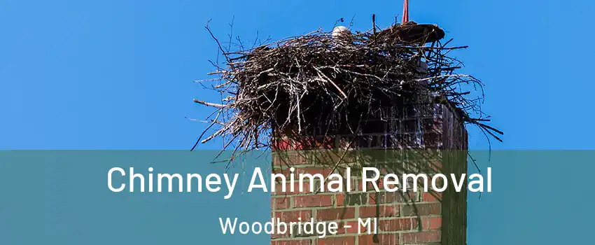 Chimney Animal Removal Woodbridge - MI