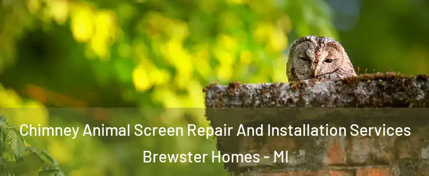 Chimney Animal Screen Repair And Installation Services Brewster Homes - MI