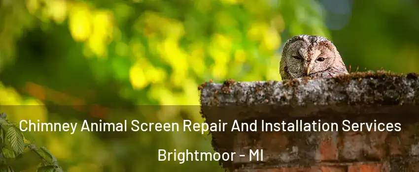 Chimney Animal Screen Repair And Installation Services Brightmoor - MI