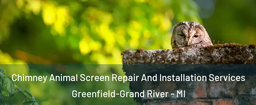 Chimney Animal Screen Repair And Installation Services Greenfield-Grand River - MI