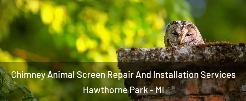 Chimney Animal Screen Repair And Installation Services Hawthorne Park - MI