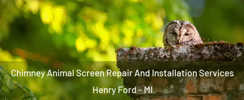 Chimney Animal Screen Repair And Installation Services Henry Ford - MI