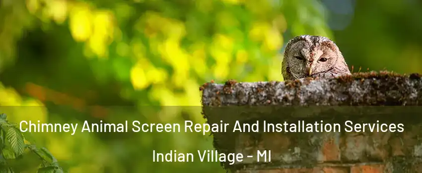 Chimney Animal Screen Repair And Installation Services Indian Village - MI