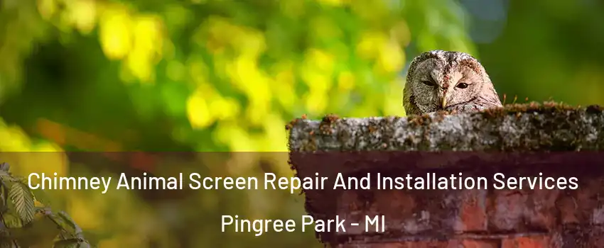 Chimney Animal Screen Repair And Installation Services Pingree Park - MI