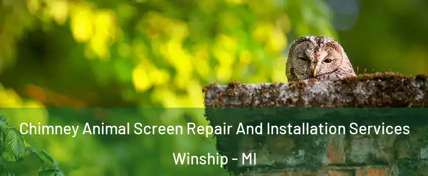 Chimney Animal Screen Repair And Installation Services Winship - MI