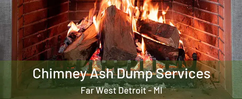 Chimney Ash Dump Services Far West Detroit - MI