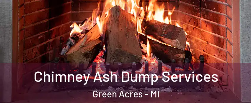 Chimney Ash Dump Services Green Acres - MI