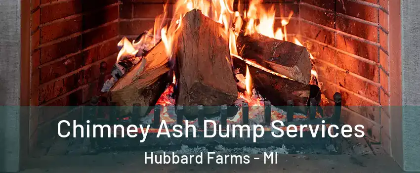 Chimney Ash Dump Services Hubbard Farms - MI