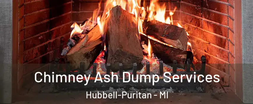 Chimney Ash Dump Services Hubbell-Puritan - MI