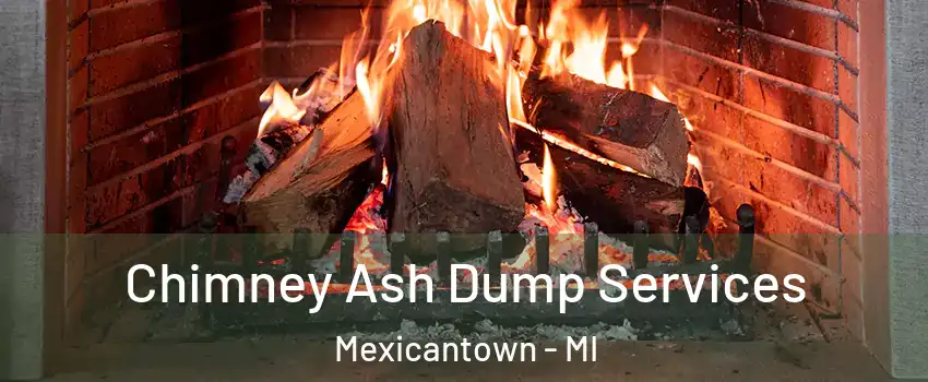 Chimney Ash Dump Services Mexicantown - MI