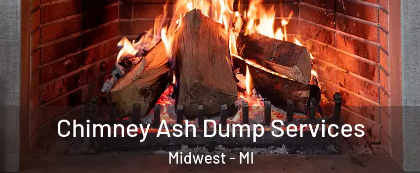 Chimney Ash Dump Services Midwest - MI