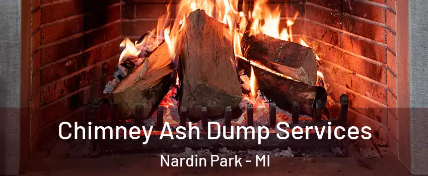 Chimney Ash Dump Services Nardin Park - MI