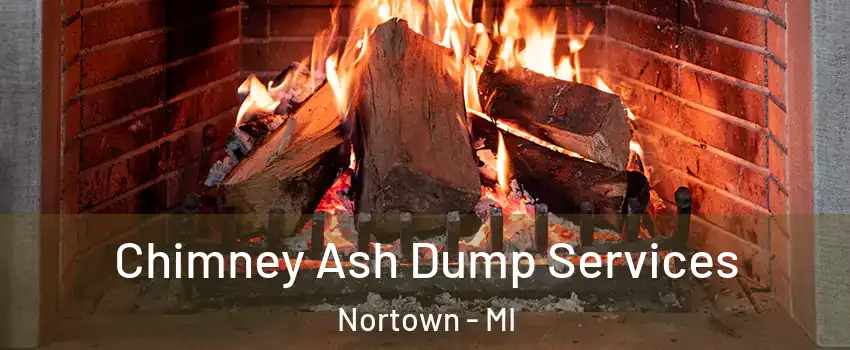 Chimney Ash Dump Services Nortown - MI