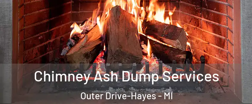 Chimney Ash Dump Services Outer Drive-Hayes - MI