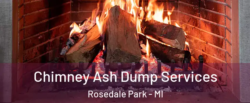 Chimney Ash Dump Services Rosedale Park - MI