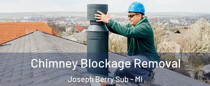 Chimney Blockage Removal Joseph Berry Sub - MI