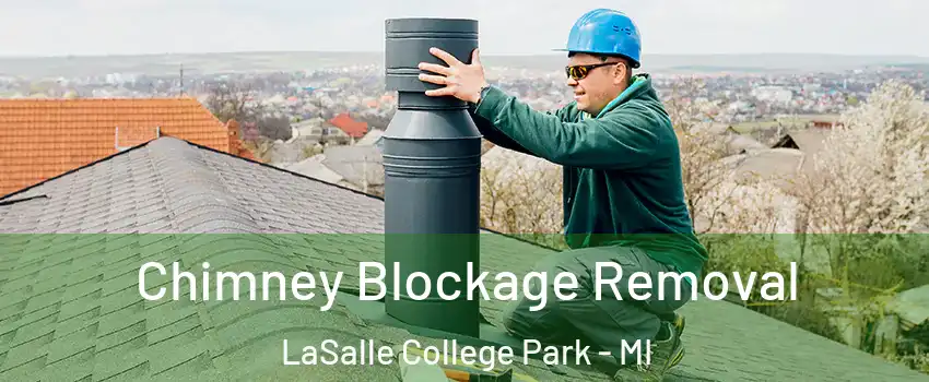 Chimney Blockage Removal LaSalle College Park - MI