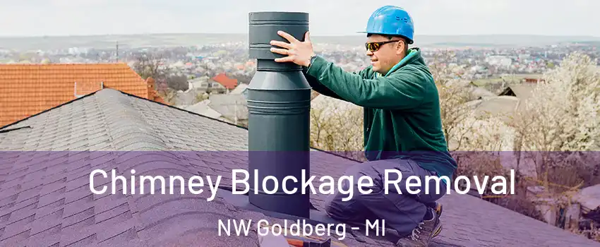 Chimney Blockage Removal NW Goldberg - MI