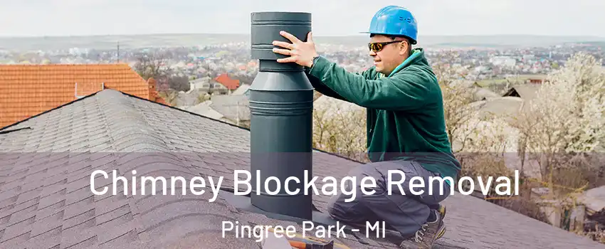 Chimney Blockage Removal Pingree Park - MI