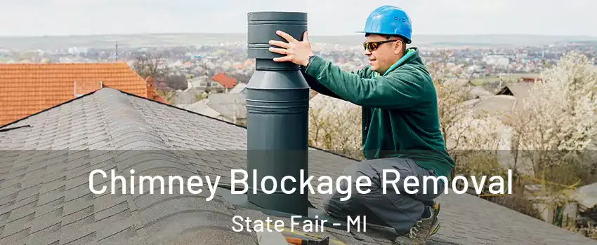 Chimney Blockage Removal State Fair - MI