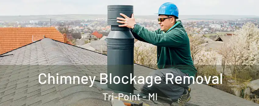 Chimney Blockage Removal Tri-Point - MI