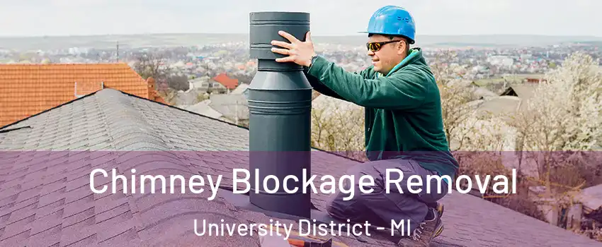 Chimney Blockage Removal University District - MI