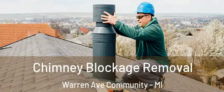 Chimney Blockage Removal Warren Ave Community - MI