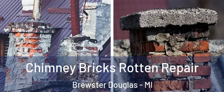 Chimney Bricks Rotten Repair Brewster Douglas - MI