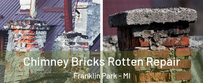 Chimney Bricks Rotten Repair Franklin Park - MI