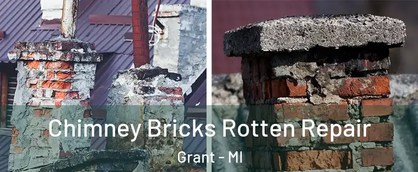 Chimney Bricks Rotten Repair Grant - MI